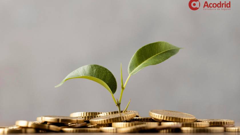 Cálculo de capital y tipos de valor