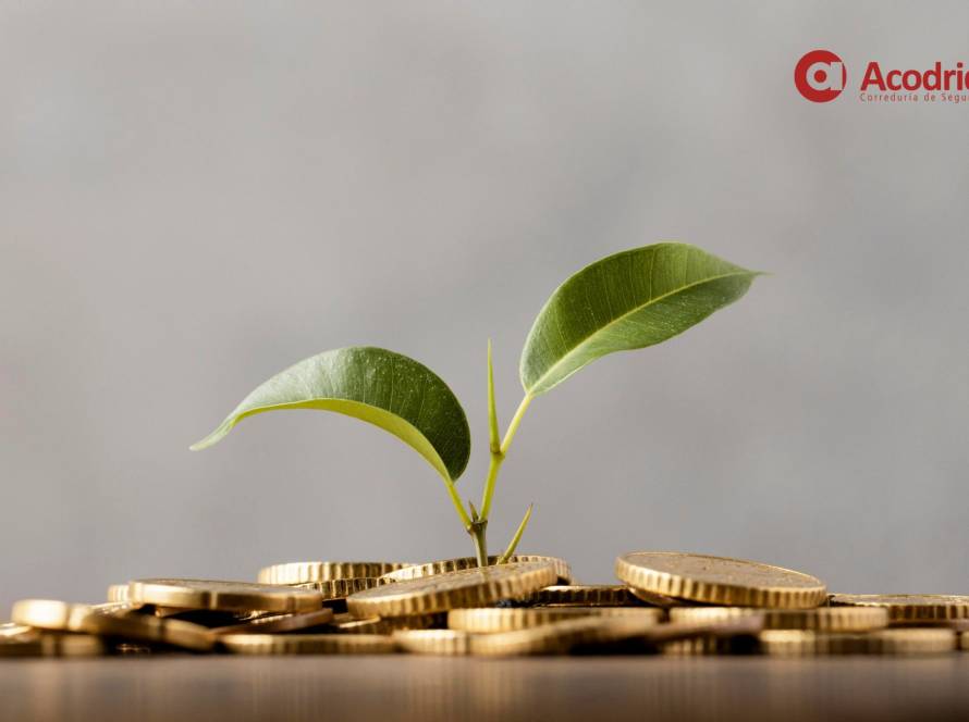 Cálculo de capital y tipos de valor